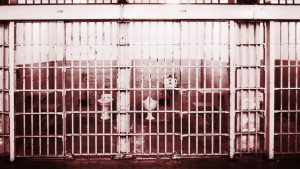 prison reform feature
