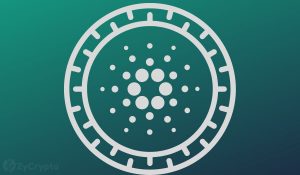 Historically Accurate Cardano On Chain Metrics Suggest ADA Price Could Triple In Near Term