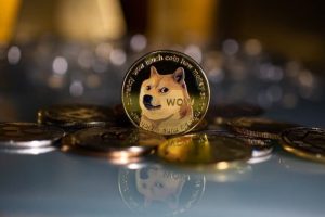 There are now over 1000 DOGE made millionaires after Dogecoin price skyrockets