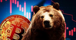 bear market research