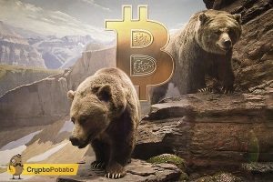 bitcoin bear min min