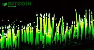 green candle price