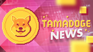 tamadoge news update 1
