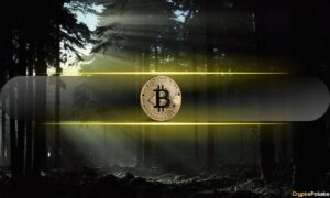 Bitcoin Mystery
