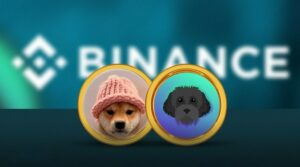 Dogwifhat WIF Hits All Time High with Binance Listing Announcement