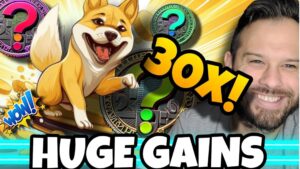claybro reviews fast selling dogecoin themed token presale
